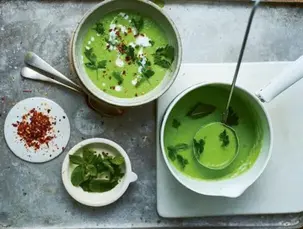 vegansk