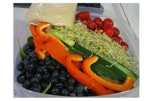 vegansk