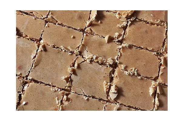 Fudge-ruter