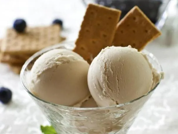 Galaxy Nutritional Foods melkefri ostekakemorosis