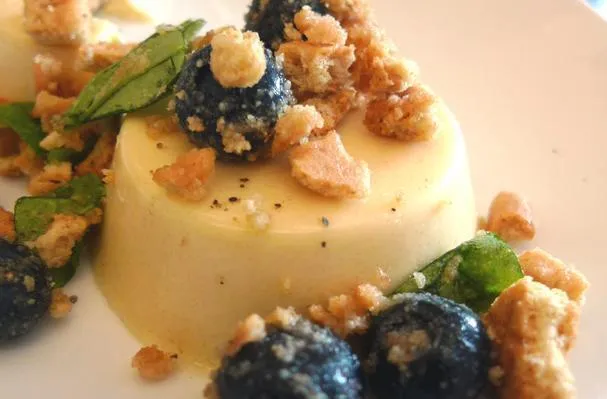 Honningpannacotta med blåbær og grahamkjeks